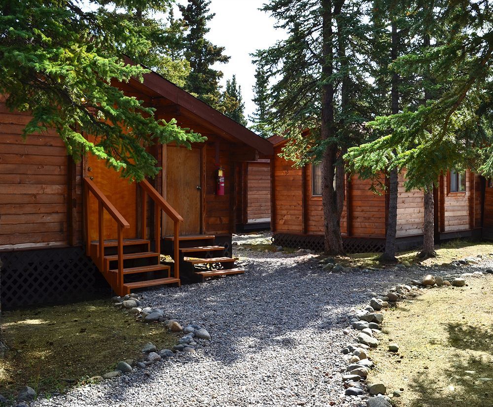 Denali Cabins Denali Park Exterior photo